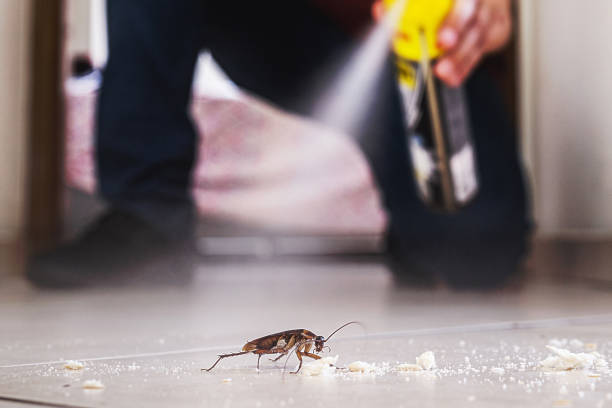 Pest Control Cost in Scottsbluff, NE