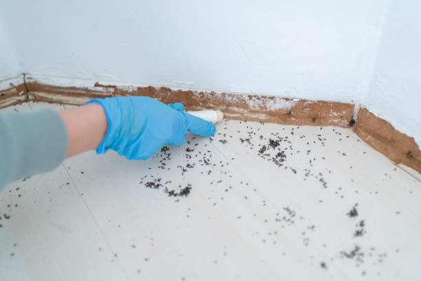 Scottsbluff, NE Pest Control Company